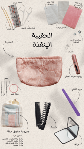 الحقيبة المنقذة