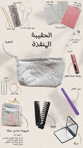 الحقيبة المنقذة