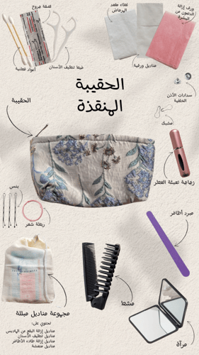 الحقيبة المنقذة