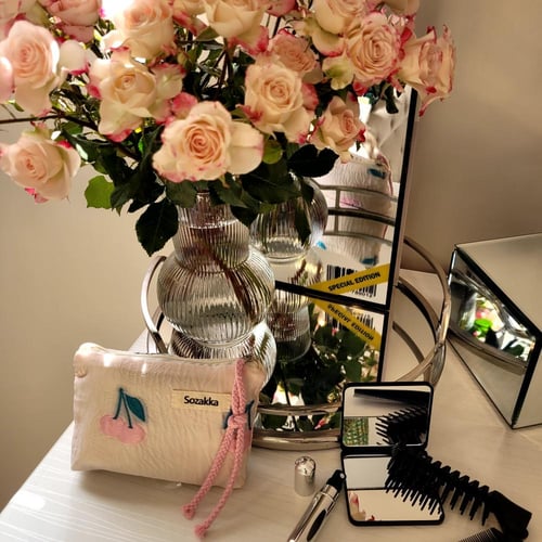 الحقيبة المنقذة