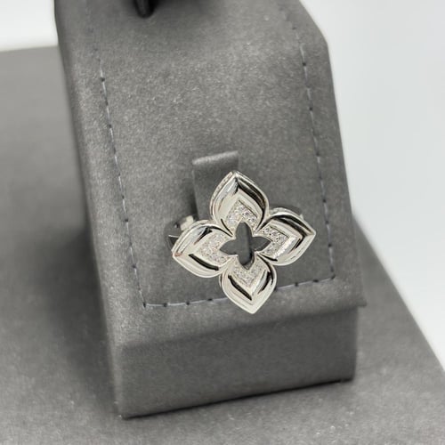 نصف طقم روبرتو كوين