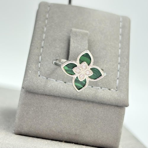 طقم روبرتو كوين