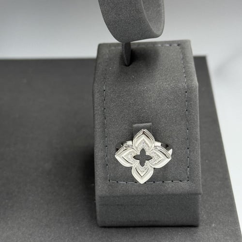 نصف طقم روبرتو كوين