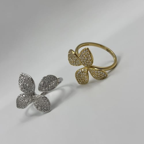 خاتم باسكال بروني