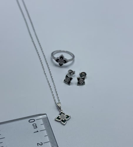 نصف طقم روبرتوكوين صدف أخضر