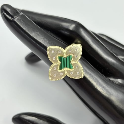 نصف طقم روبرتو كوين