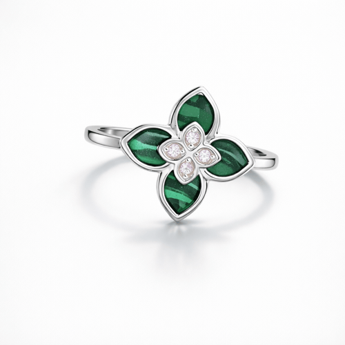 طقم روبرتو كوين