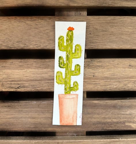 فاصل كتاب ورقي صبار (عشوائي)