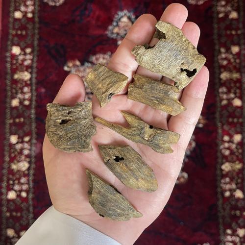 عرض الكينام طبيعي وقية + مبخرة