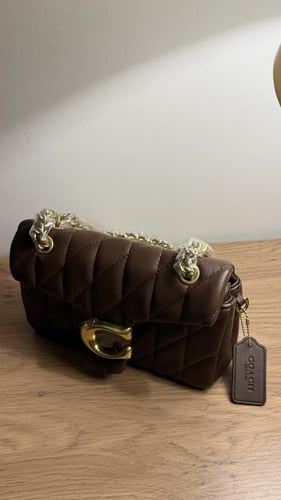 كوتش تابي -بني