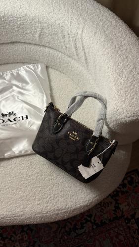 كوتش بني ميني