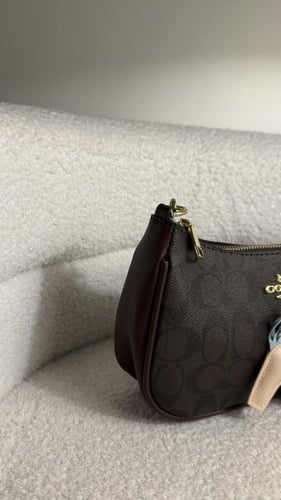 كوتش تيري | بني