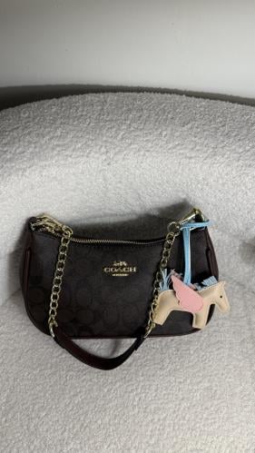 كوتش تيري | بني