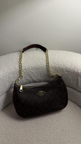 كوتش تيري | بني