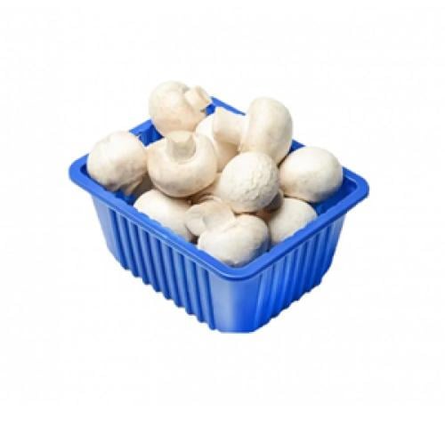 علبة فطر ابيض