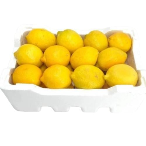 فلين ليمون وسط