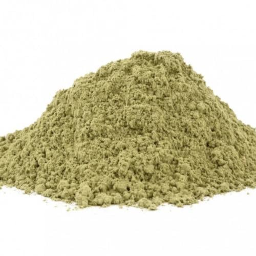 سدر المدينة