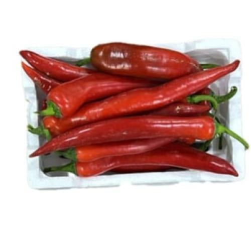 فلين فلفل احمر طويل وسط