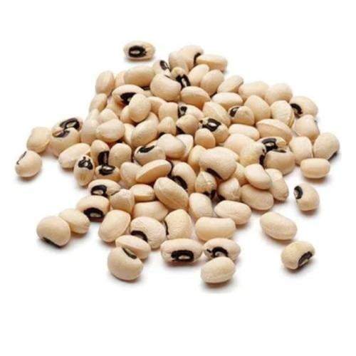 لوبيا بيضاء