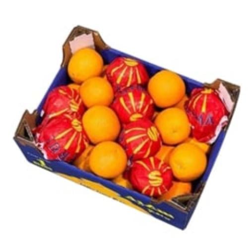 كرتون برتقال