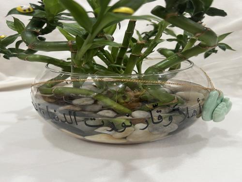 فازة بامبو مصممة من اختيارك