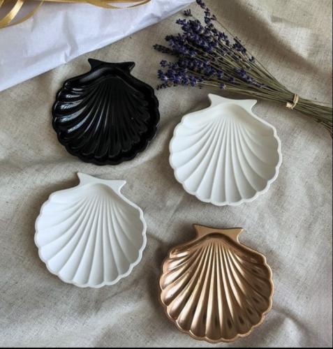 اصداف البحر