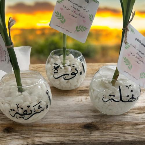 فازات قزاز مع نبته وكتابة عبارة