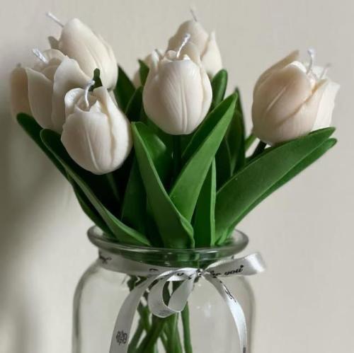 شمعه التوليب