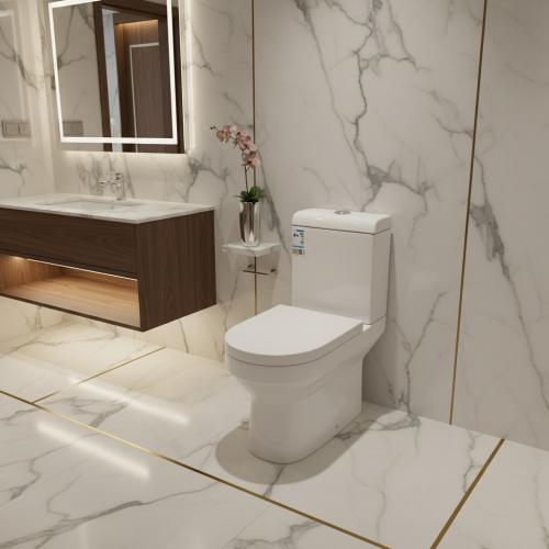 كرسي حمام افرنجي بشطاف