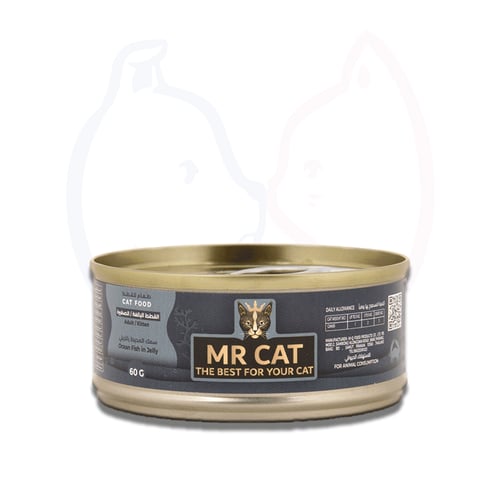 طعام رطب جيلي مع سمك المحيط للقطط من مستر كات 60 ج...