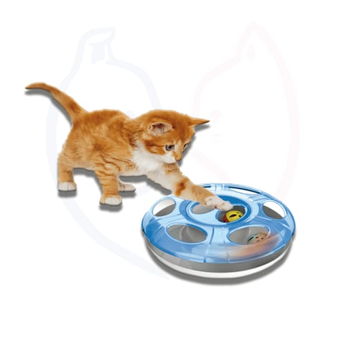 لعبة مسار القطط التفاعلية بالكرات 24*24*8