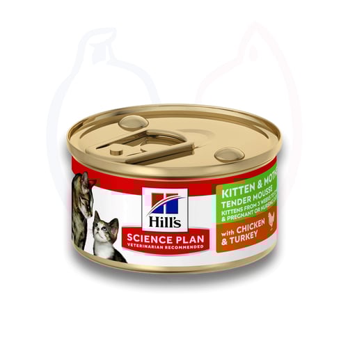 هيلز – طعام رطب للقطط الصغيرة والأمهات - 85 جم