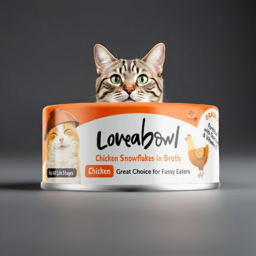 لاف اباول طعام رطب بشرائح الدجاج في المرق للقطط -...