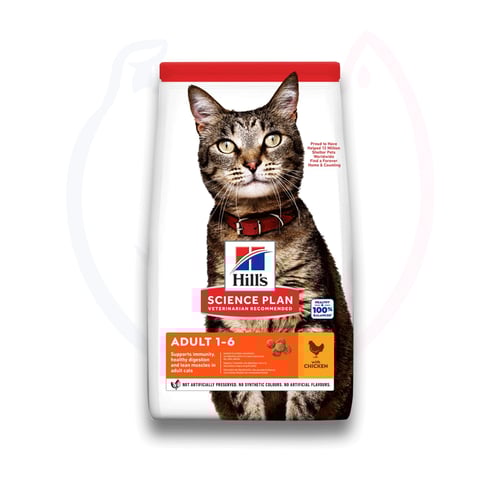 هيلز طعام جاف للقطط البالغة بنكهة الدجاج - 300 جم