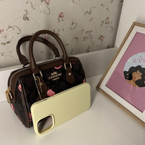 كوتش روان تشيري بني ١٨سم