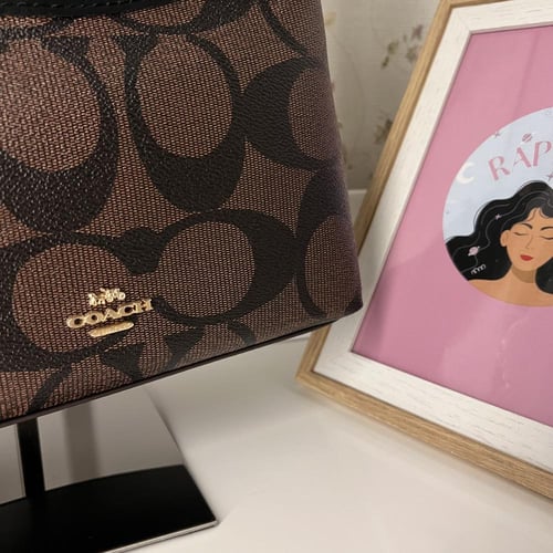 كوتش لورل بني وأسود - ٢٢سم