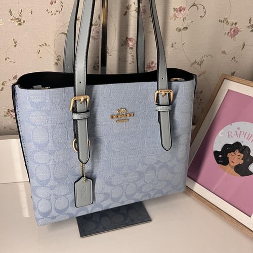 كوتش مولي سكاي بلو -25cm