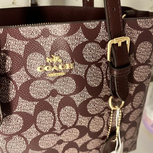 كوتش مولي عنابي - 25 cm