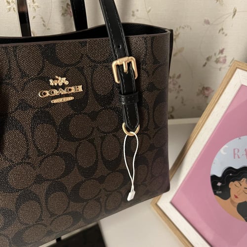 كوتش مولي بني - 25cm