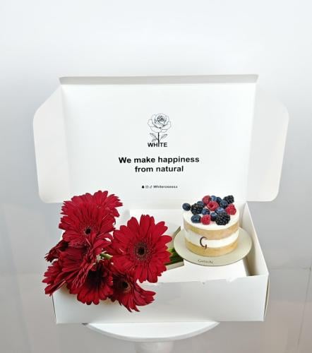 كيك التوت من جاناش معا جربيريا حمراء