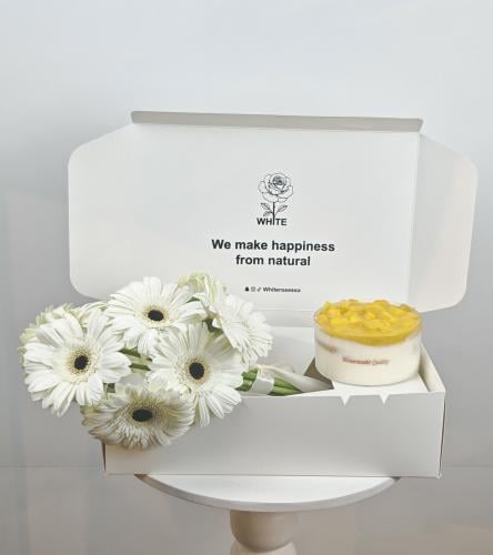 كيك المانجو من جاناش معا جربيريا