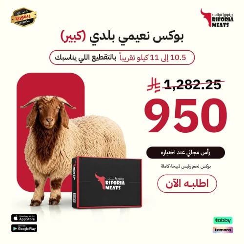 بوكس نعيمي بلدي كبير 10.5–11 كجم | ريفوريا ميتس