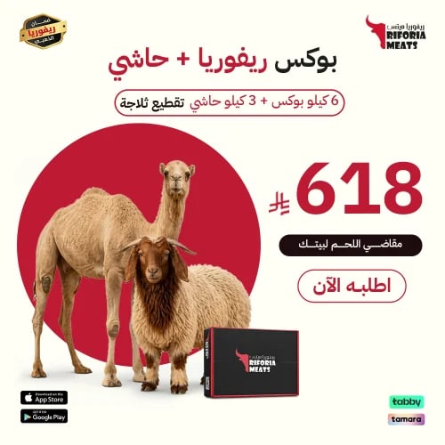 بوكس نعيمي كشميري 6 كجم + حاشي محلي 3 كجم | ريفوري...