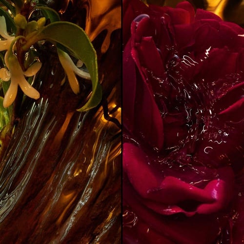 جيرلان جيرلان أبسولو أليجوريا عود إسونسيال ماء عطر