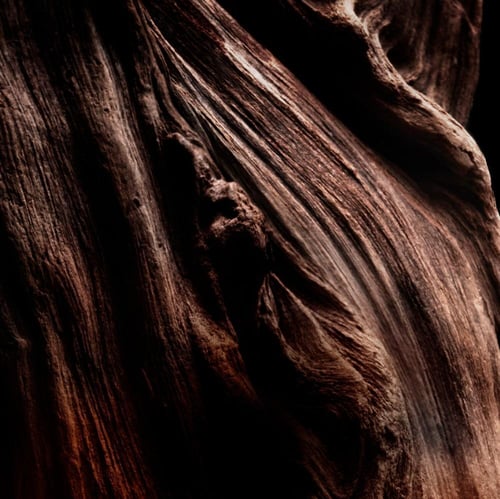 جيرلان جيرلان أبسولو أليجوريا عود إسونسيال ماء عطر