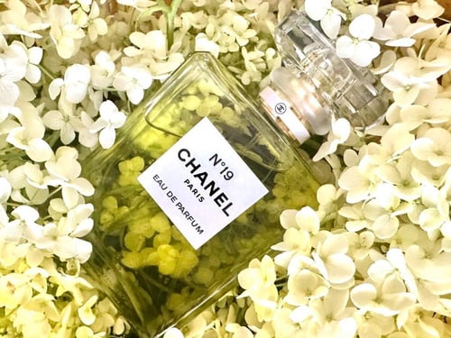 N°19 Eau de Parfum