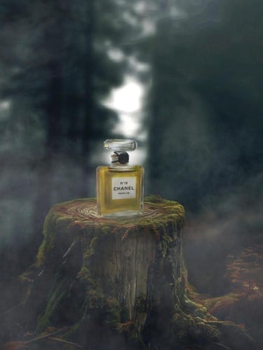 N°19 Eau de Parfum