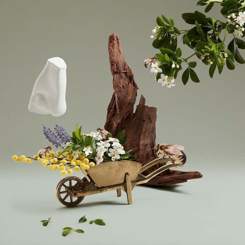 ماء عطر هايجروف بوكيه