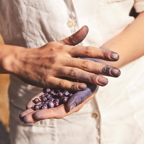 Blu Mediterraneo Mirto di Panarea - أو دي تواليت ع...