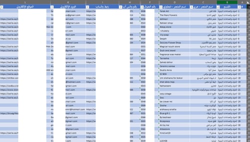 استخراج البيانات